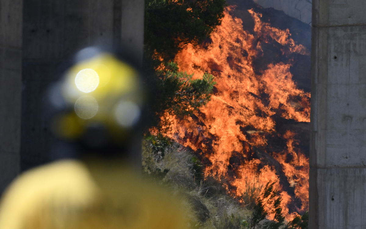 Incendios forestales en España afectan la cultura y el ecosistema